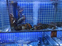-永红源啤酒·烧烤·海鲜·大排档(台柳路店)