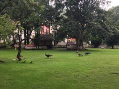 -西昌邛海宾馆