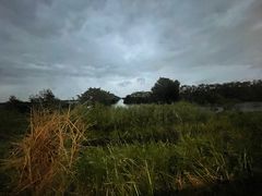 -南沙十九涌渔人码头-南门