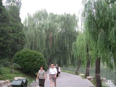 -紫竹院公园冰场