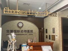 -宠爱国际动物医院· 猫科· 外科·中兽医(长白店)