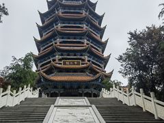 -铁山坪森林公园