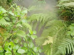 -南通洲际绿博园