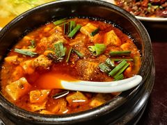 -陈麻婆豆腐总店