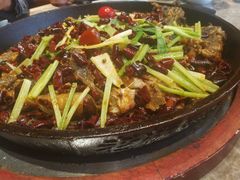 -老板恋上鱼(恒隆广场店)