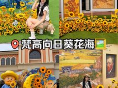 -北国奥特莱斯
