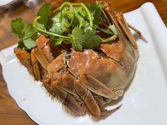 -呼吸森林·生态农庄农家乐私房菜