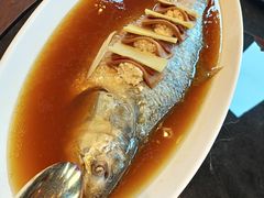 飘香鲥鱼-广州文华东方酒店·江-由辉师傅主理