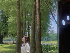 -南宁良凤江国家森林公园