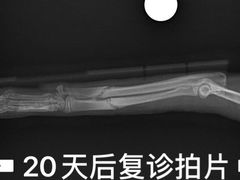 -爱侣宠医·鹦鹉专科·小型哺乳类·异宠专科(灵石路店)