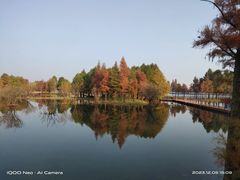 -贡湖湾湿地公园