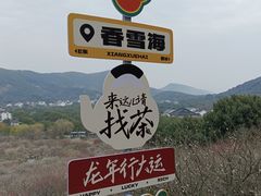 -香雪海