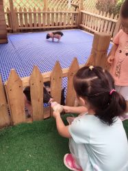 -萌宠亲子动物乐园(槐房万达店)