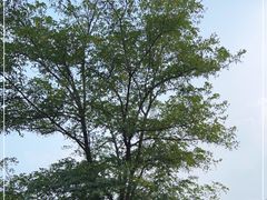 -云峰山自然风景区