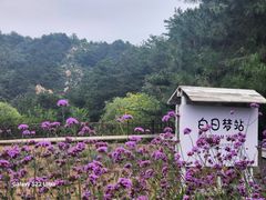 -云峰山自然风景区