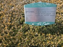 -白塘生态植物园