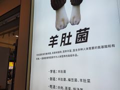 -祥云美食城(南强步行街店)