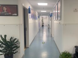 -温州伯思立医院