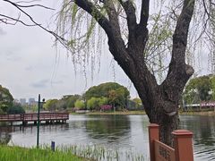 -新江湾城公园