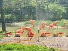 -石家庄市动物园