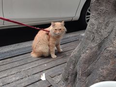 -汗水空间私教健身连锁(SM广场店)