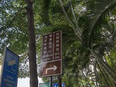 -长洲岛