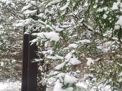 -月坛公园