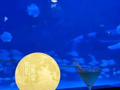 -烟台海昌鲸鲨海洋公园