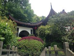 -十八棵（老龙井）御茶园(老龙井店)