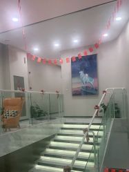 -上海漾颜医疗美容