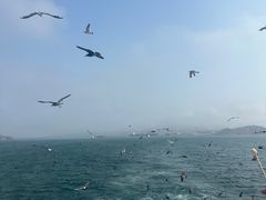 -海驴岛(荣成市)