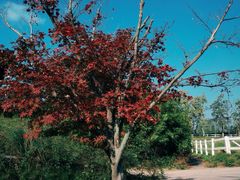 -白鹭湾湿地公园