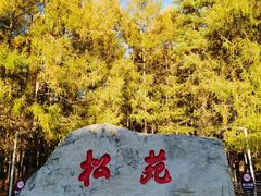 -北极村旅游风景区