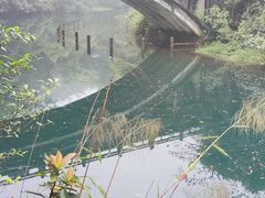 -鼎湖山风景区