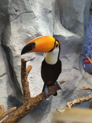 -Zoolung Zoolung动物主题公园(海信广场店)