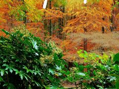 -共青国家森林公园-售票处