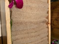 -盡膳口福跷脚牛肉火锅(北美新天地店)