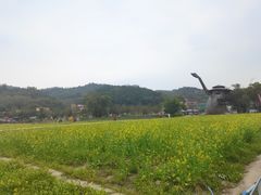 -红山村