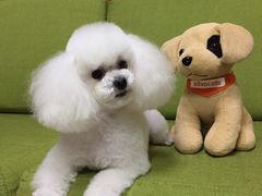 -惠康宠物医院(华能路店)