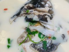 -全乐鱼馆·淳牌有机鱼直营店