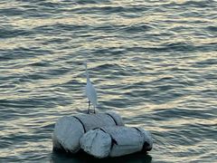 -海沧湾公园