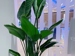 -LANN I 蘭 SPA(陆家嘴中心店)