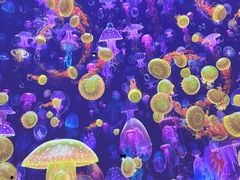 -海合安青岛极地海洋公园