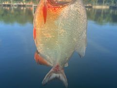 -新怡路亚垂钓园