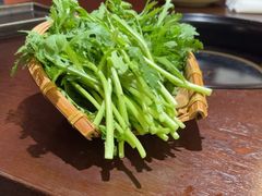 -滇野云南野生菌餐厅(陕西南路店)