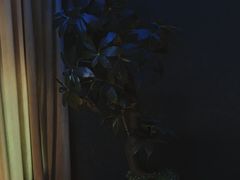 -泰迦 泰式古法抓胧筋水疗SPA