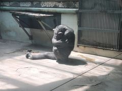 -石家庄市动物园