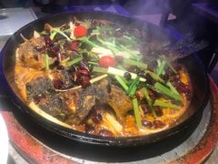 -老板恋上鱼(恒隆广场店)