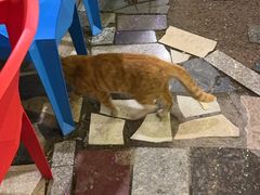 -后院烤吧·木炭烧烤·烤鱼·云贵川火锅(忻州古城店)