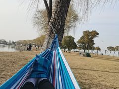 -漕湖湿地公园